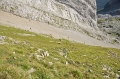 Ebenalp Schaefler Oehrli Saentis Altmann Rotsteinpasshuette 18_08_2011 (722)